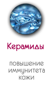 Керамиды в носочках SoSu